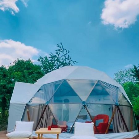 Phalesia Glamping Otel Sapanca Bagian luar foto
