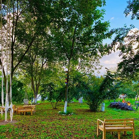 Phalesia Glamping Otel Sapanca Bagian luar foto