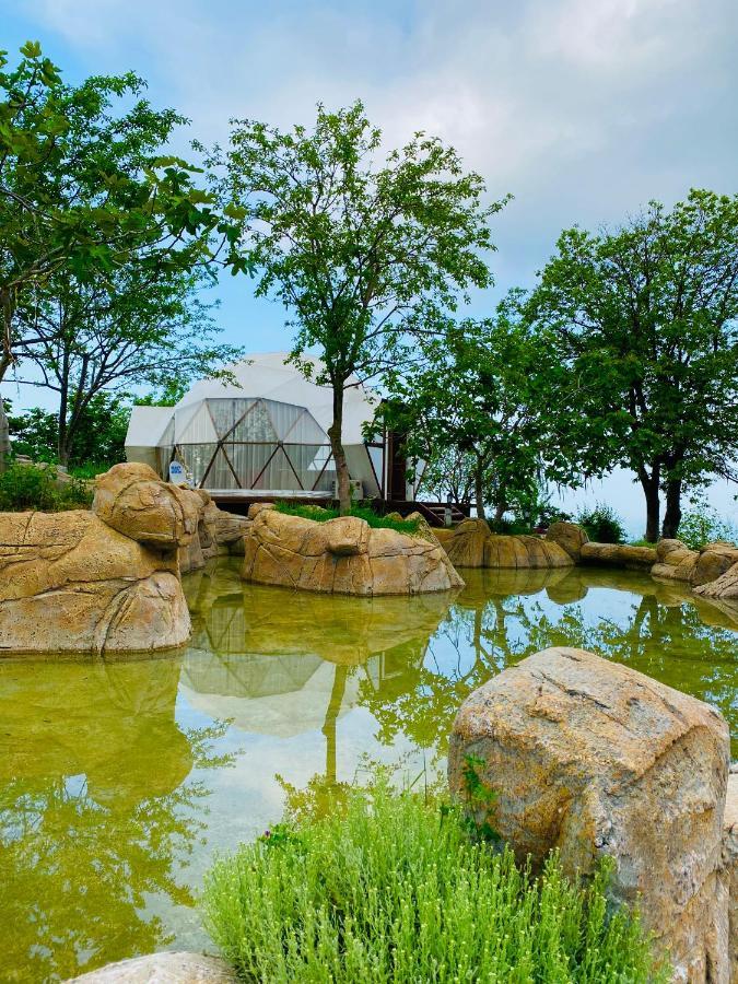 Phalesia Glamping Otel Sapanca Bagian luar foto