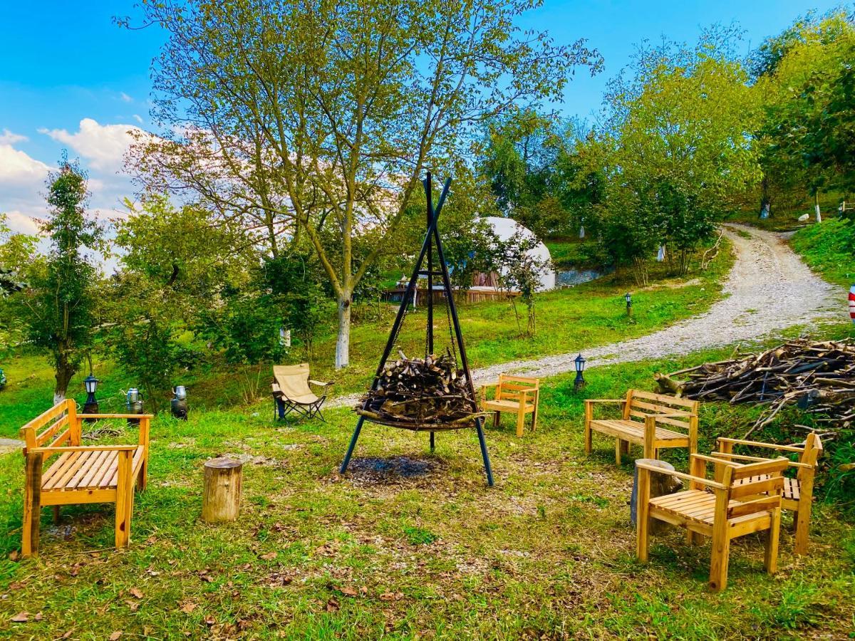 Phalesia Glamping Otel Sapanca Bagian luar foto