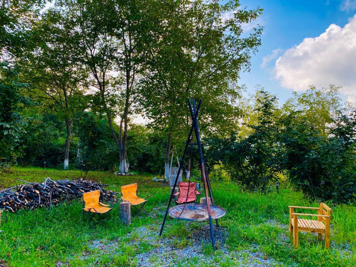 Phalesia Glamping Otel Sapanca Bagian luar foto