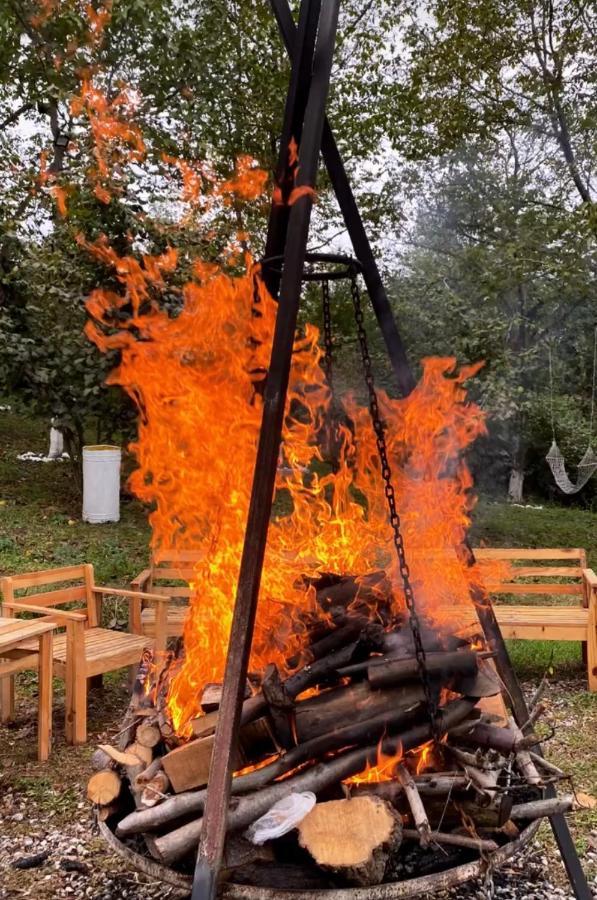 Phalesia Glamping Otel Sapanca Bagian luar foto