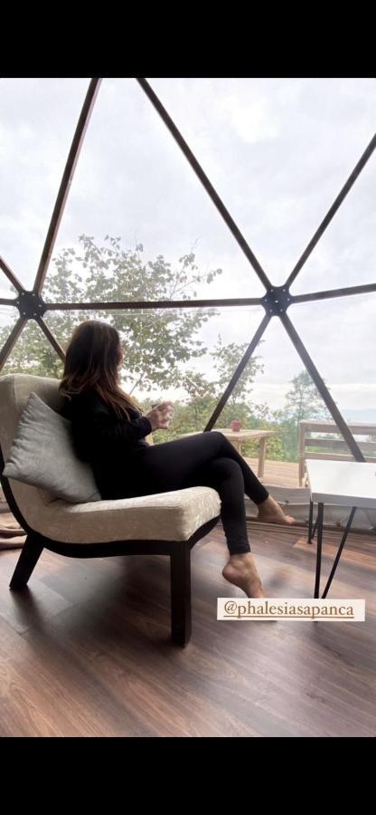 Phalesia Glamping Otel Sapanca Bagian luar foto