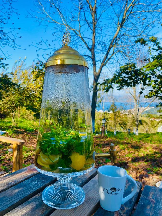 Phalesia Glamping Otel Sapanca Bagian luar foto