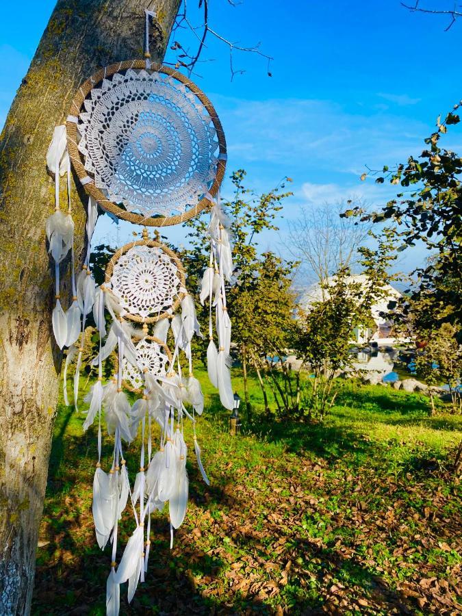 Phalesia Glamping Otel Sapanca Bagian luar foto