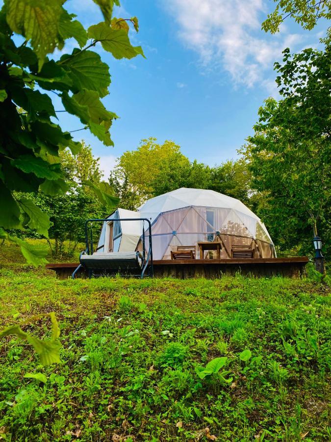 Phalesia Glamping Otel Sapanca Bagian luar foto