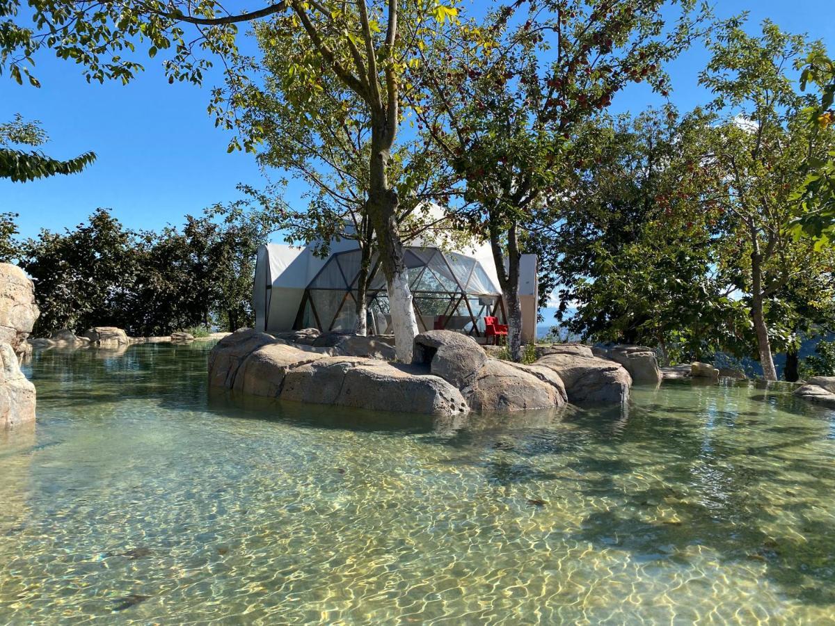 Phalesia Glamping Otel Sapanca Bagian luar foto