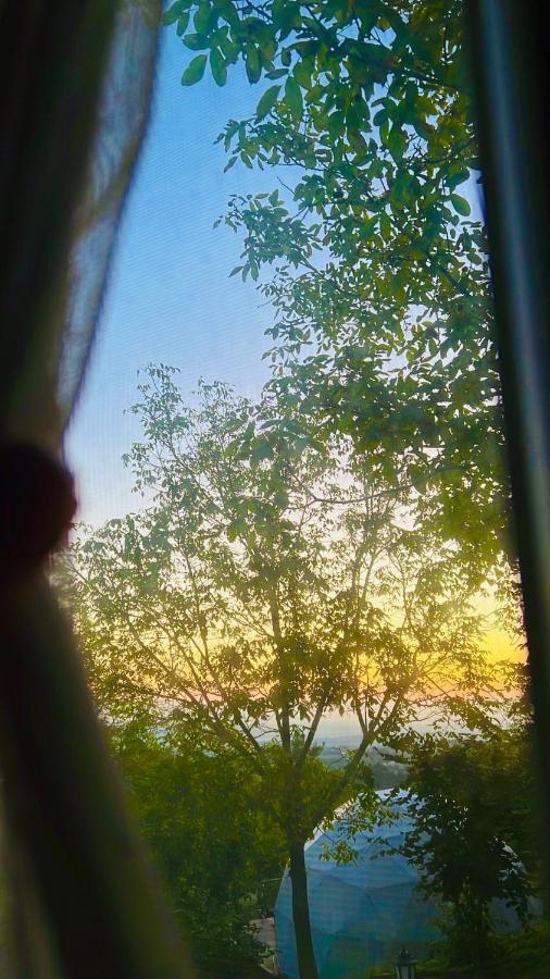 Phalesia Glamping Otel Sapanca Bagian luar foto