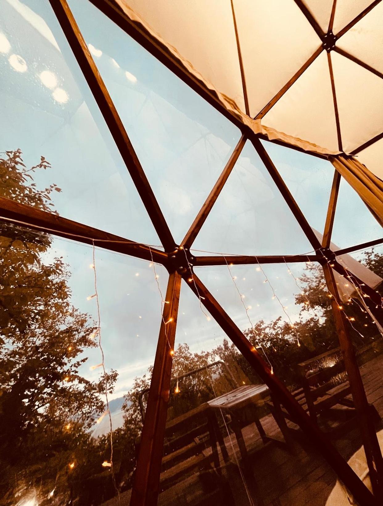 Phalesia Glamping Otel Sapanca Bagian luar foto
