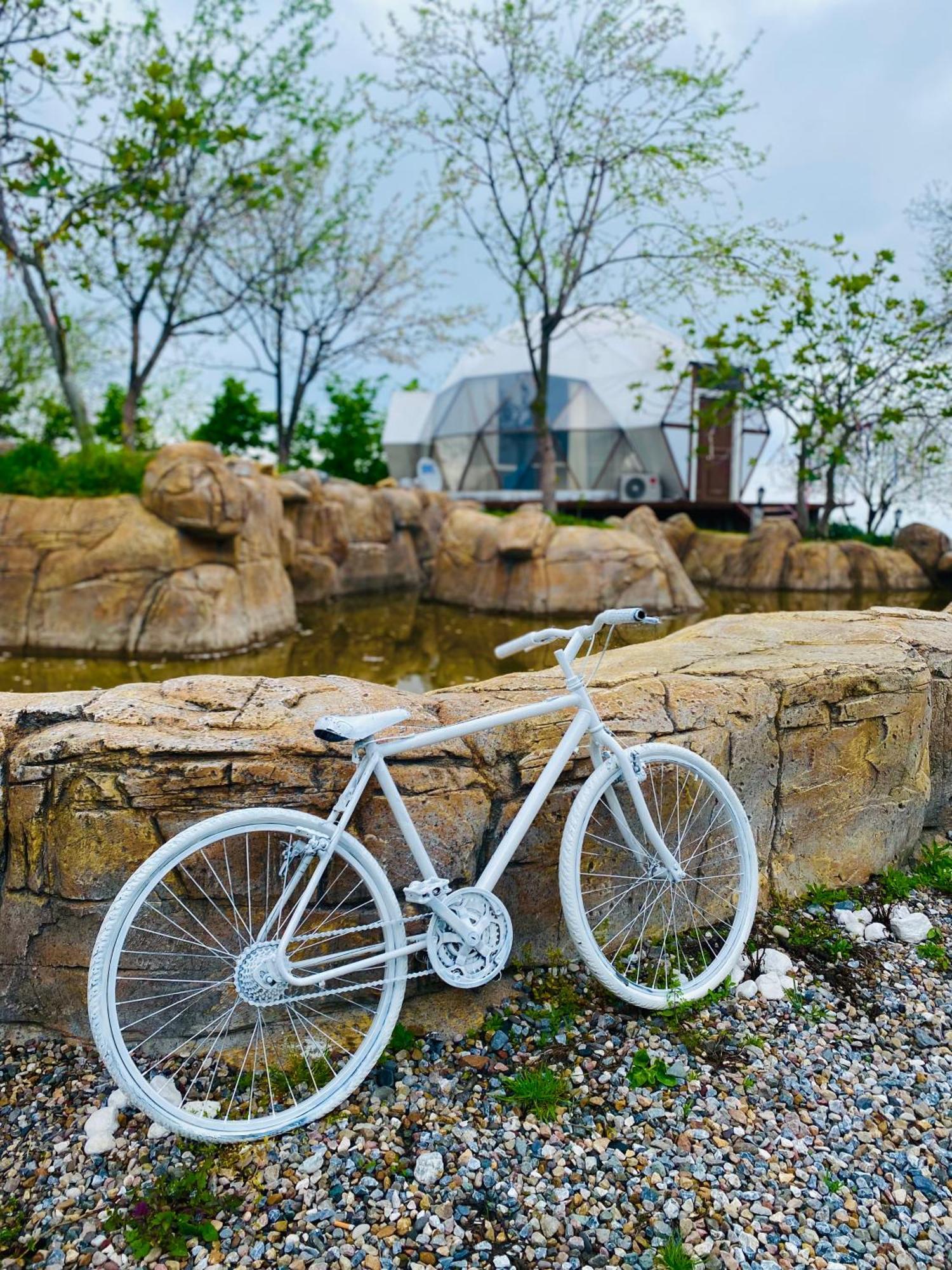 Phalesia Glamping Otel Sapanca Bagian luar foto
