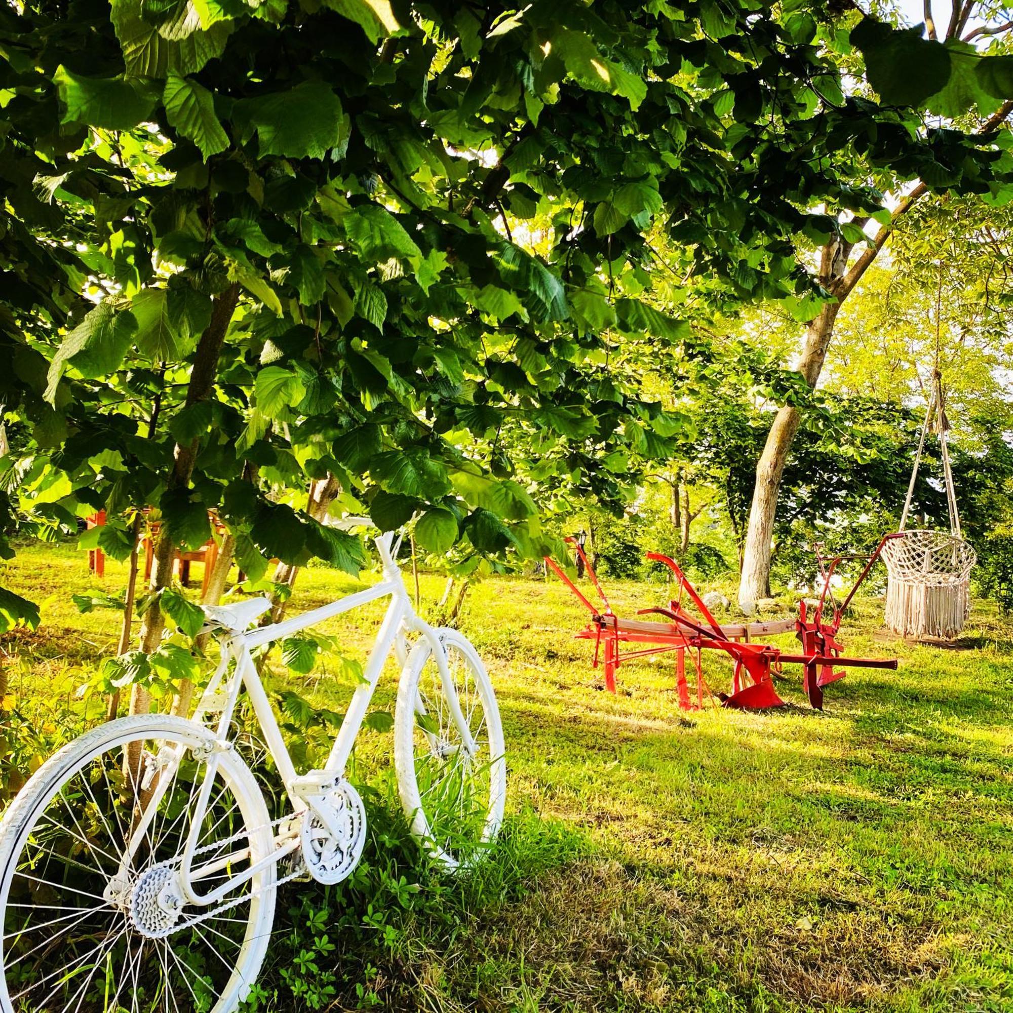 Phalesia Glamping Otel Sapanca Bagian luar foto